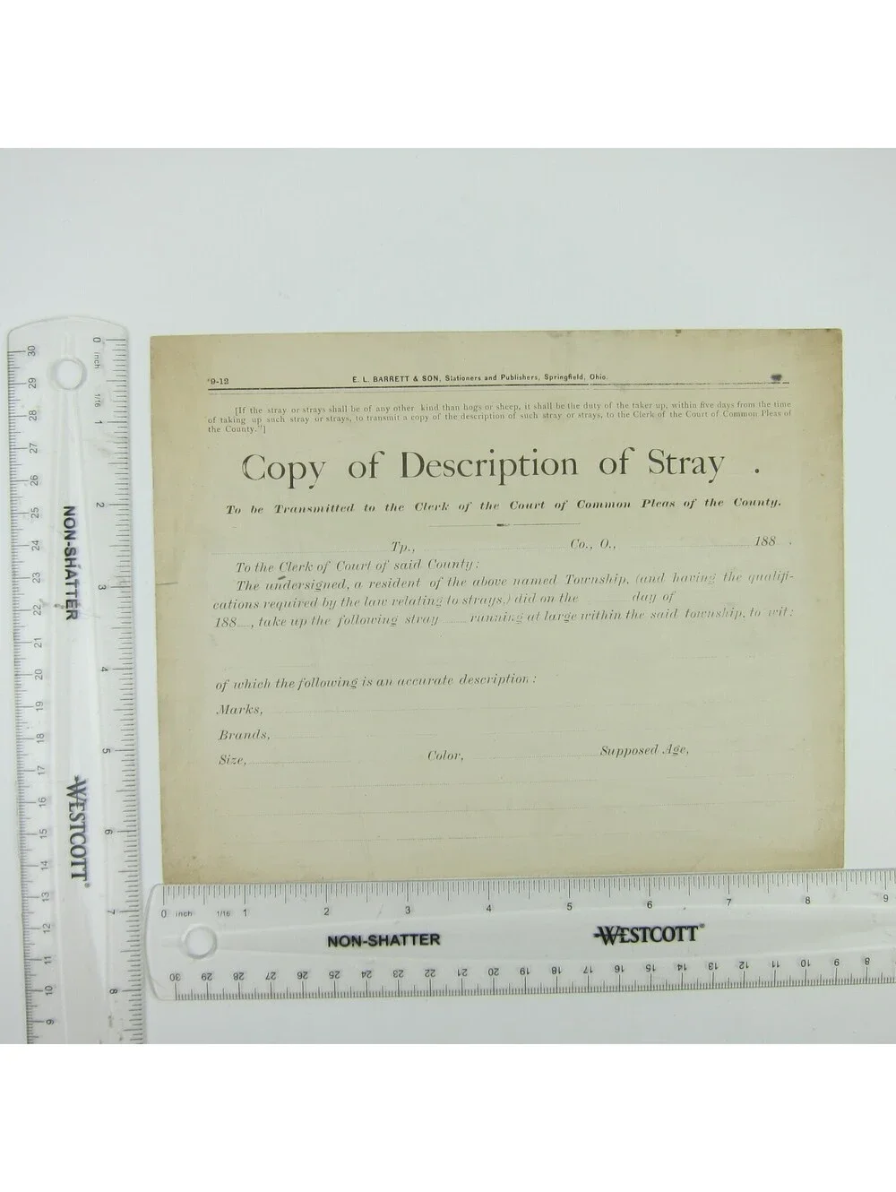 Antique 1880s Ohio Copy of Description of Stray Police Record Form Blank RARE